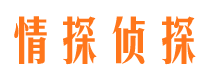 西区市侦探调查公司